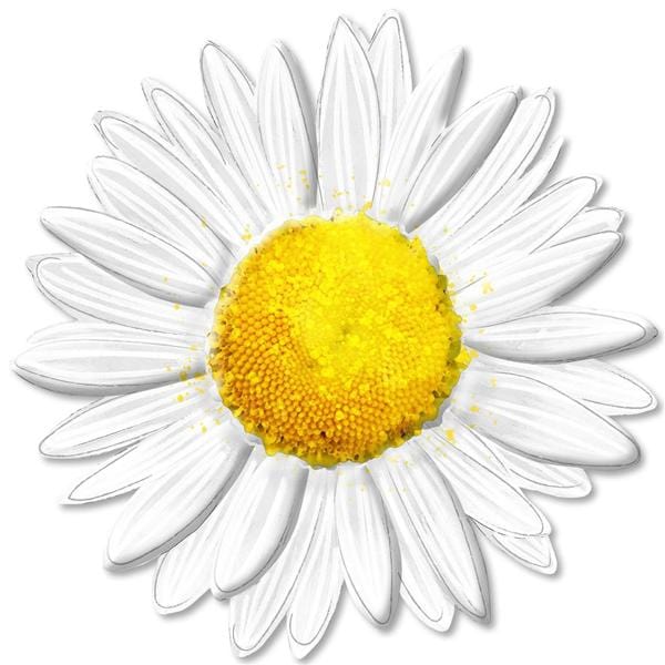 12"Dia Metal/Embossed Daisy - White/Grey/Yellow Craig Bachman Signs MD066027