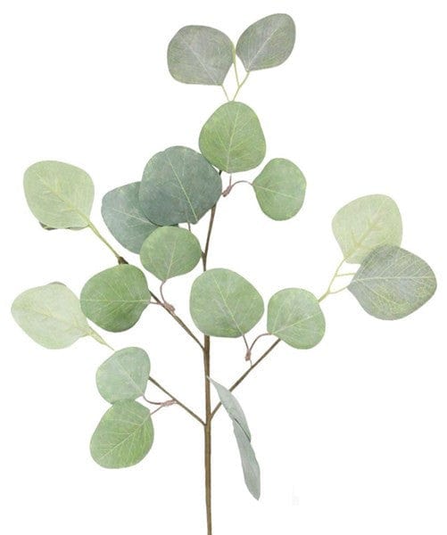 19"L Eucalyptus Pick - Green Shirley's Direct FG5686