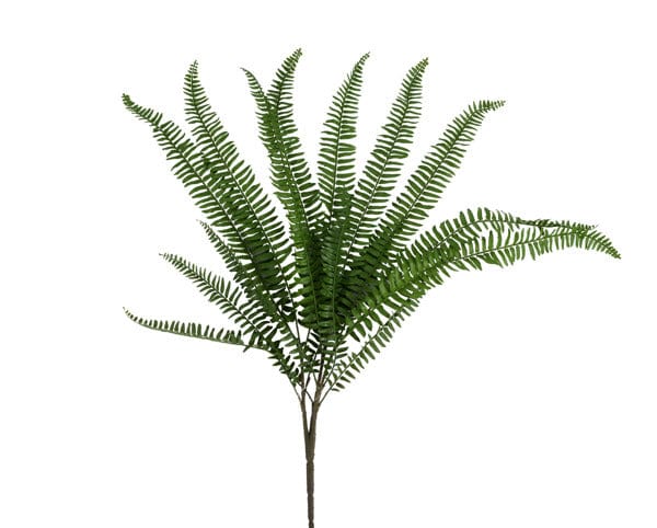30"L Fern Spray Craig Bachman FG5766
