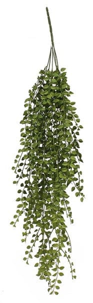 34"L Hanging Tea Leaf Bush Craig Bachman FG533442