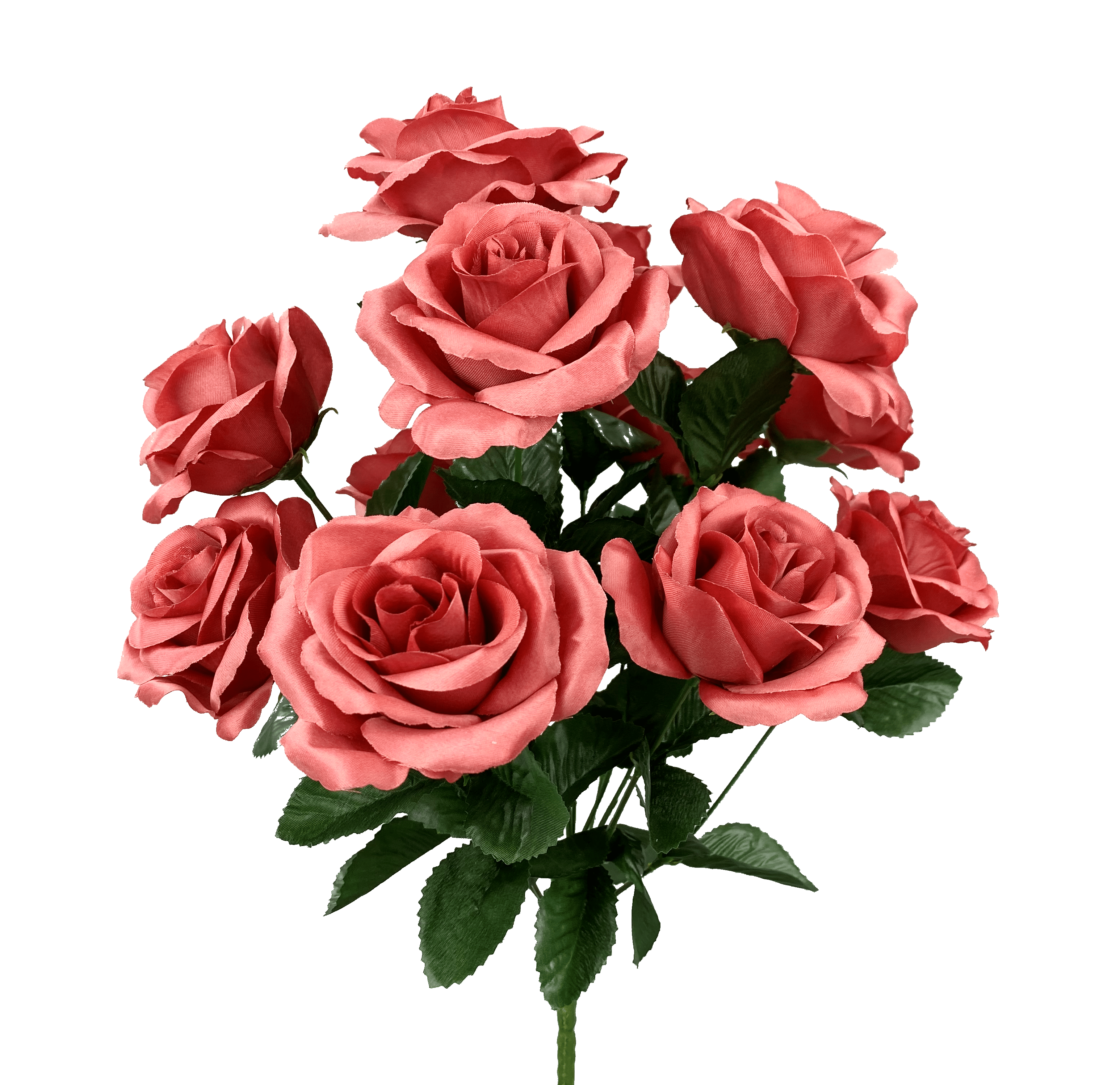 Color Fast Lillian Open Rose Bush-Rose Brown