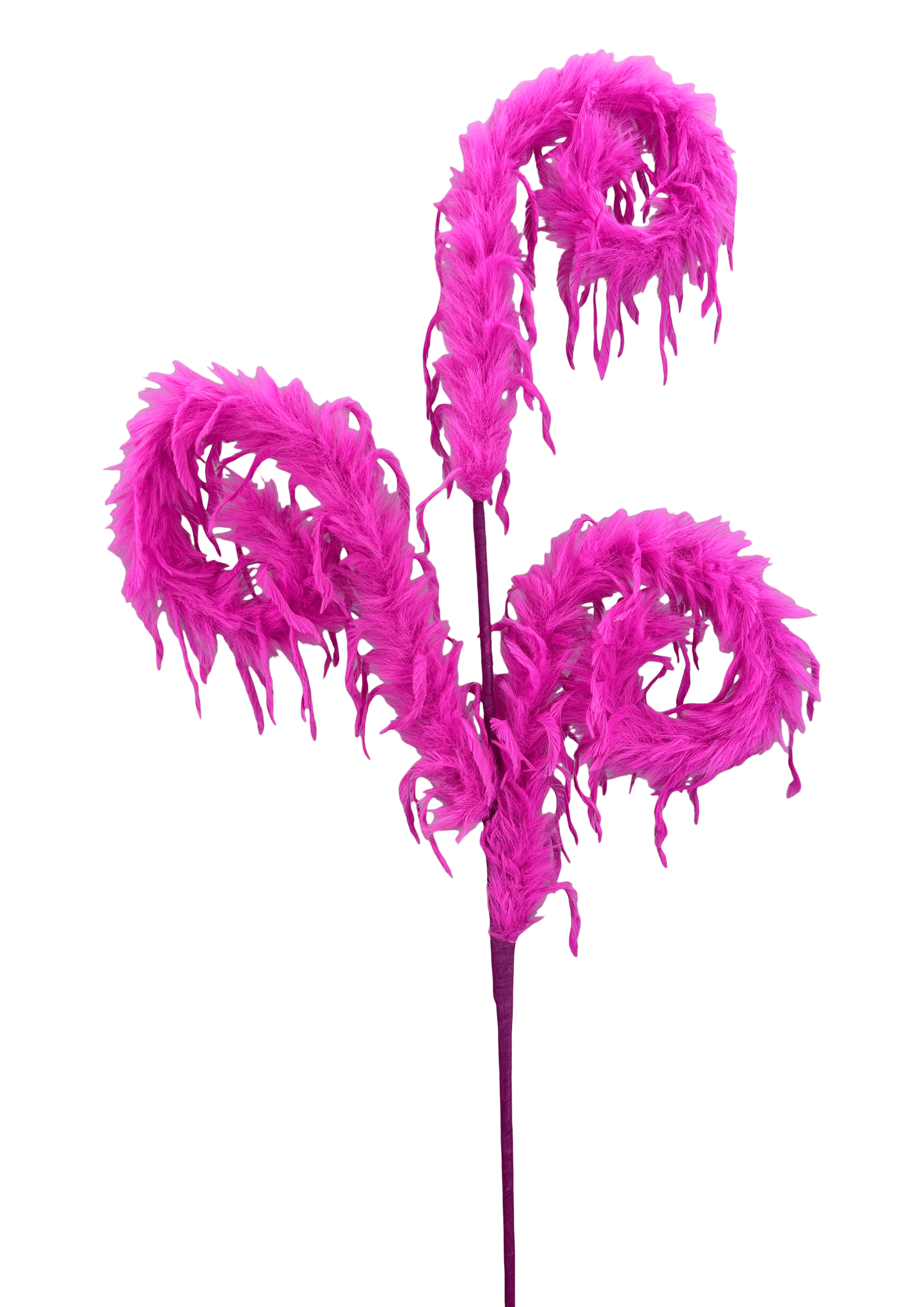 FURRY SPIRAL CURLY SPRAY X 3 H28 Beauty Liberty Floral 57305Bt