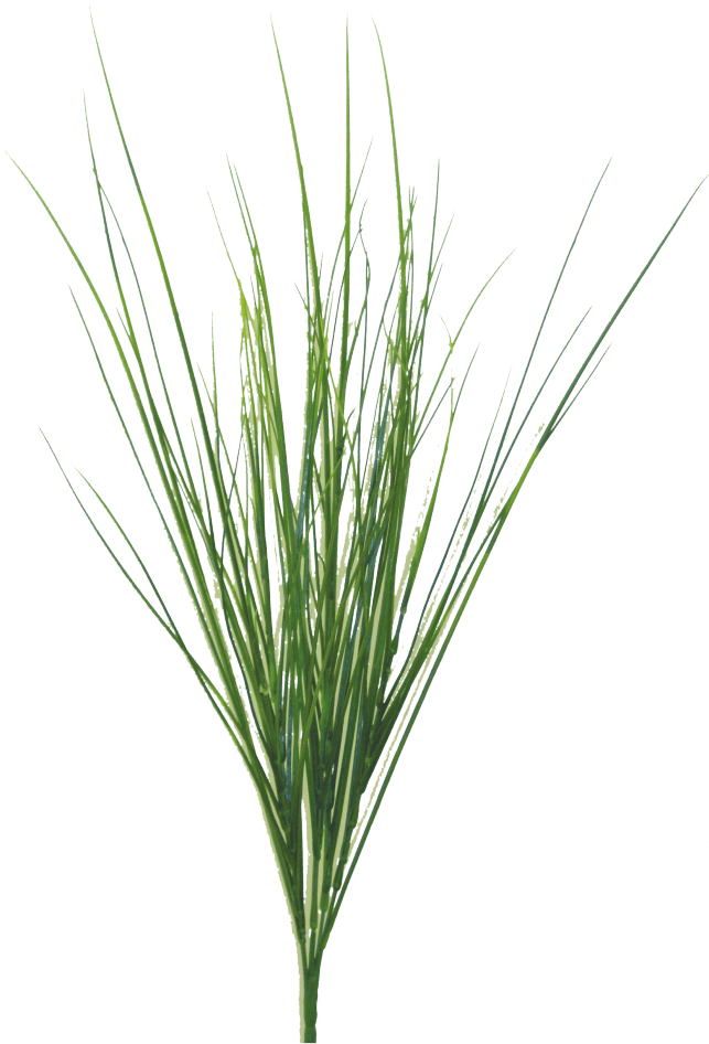 PLASTIC BEAR GRASS BUSH X 5 20" H