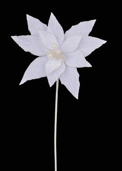 22"L x 11.5"Dia Velvet Poinsettia Craig Bachman XS408727