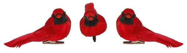 3 ASST 4.5"L Feather Cardinal w/Clip Shirley's Direct ME0635