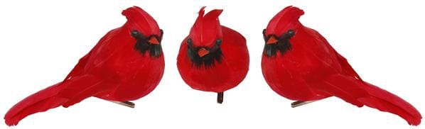 3 ASST 5"L Chubby Feather Cardinal Shirley's Direct ME0637