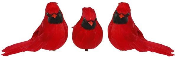 3 ASST 5"L Chubby Feather Cardinal-WITH CLIP Shirley's Direct ME0638