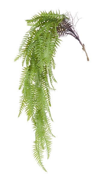 44"L Hanging Fern Bush Craig Bachman FG662330