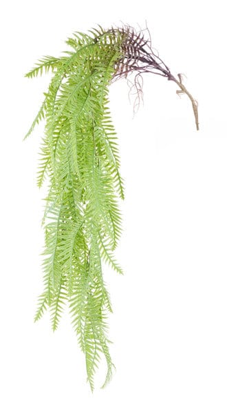 44"L Hanging Fern Bush Craig Bachman FG662332