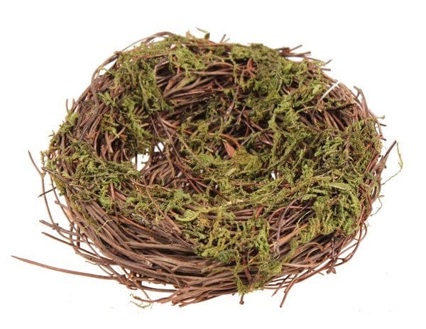 5"Dia Angel Vine Bird Nest - Natural W/Green Moss Shirley's Direct KX2409H9