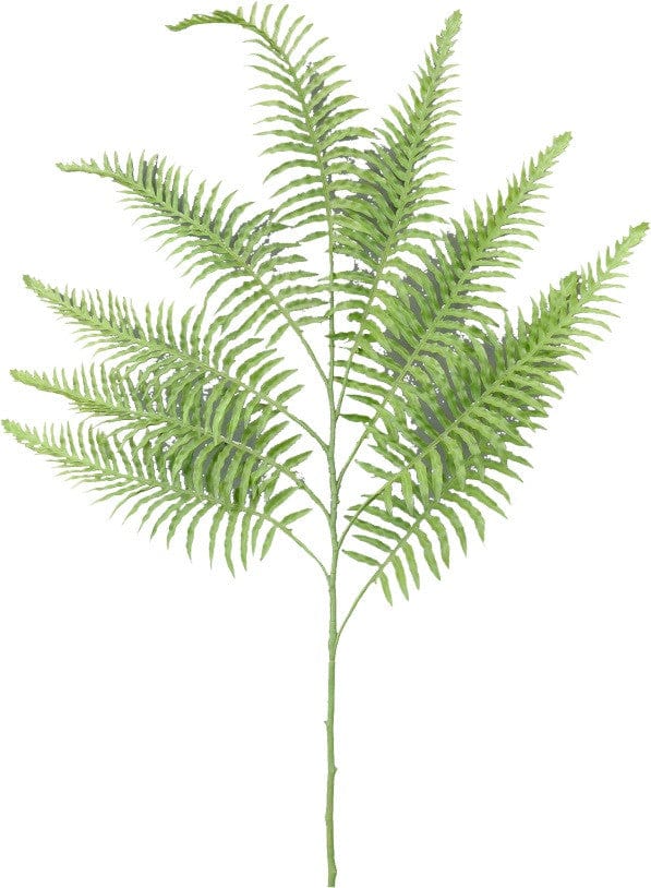 BOSTON FERN SPRAY Shirley's Direct 13406GN