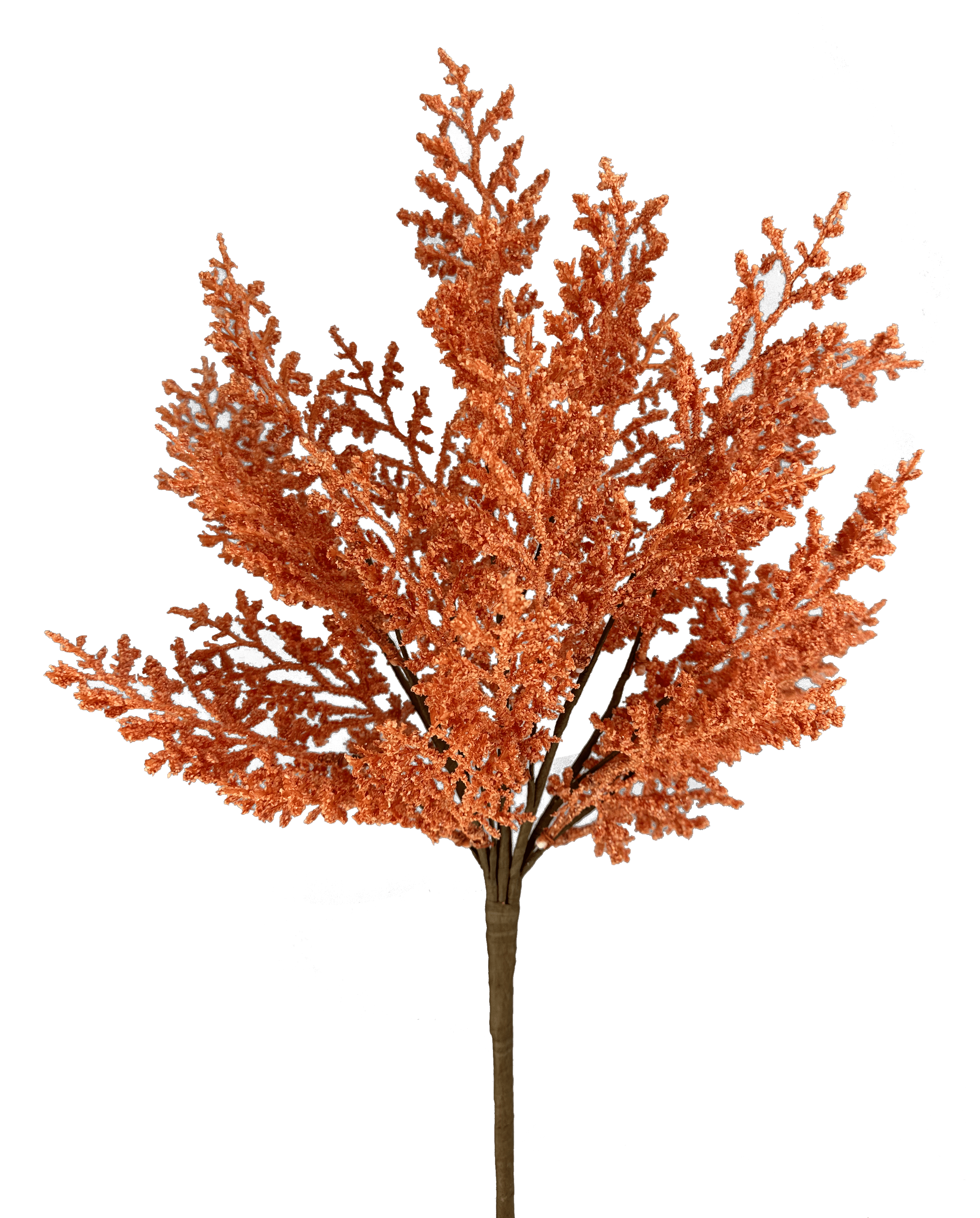 Cedar Bush H22 Liberty Floral 57165or