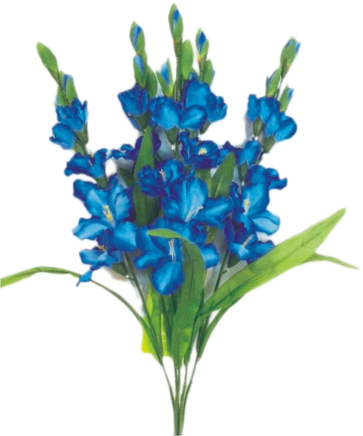 COLOR FAST GLADIOULUS BUSH X5 H28-BLUE Liberty Floral 30249BL