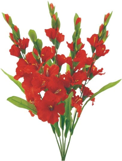 COLOR FAST GLADIOULUS BUSH X5 H28-RED Liberty Floral 30249RD