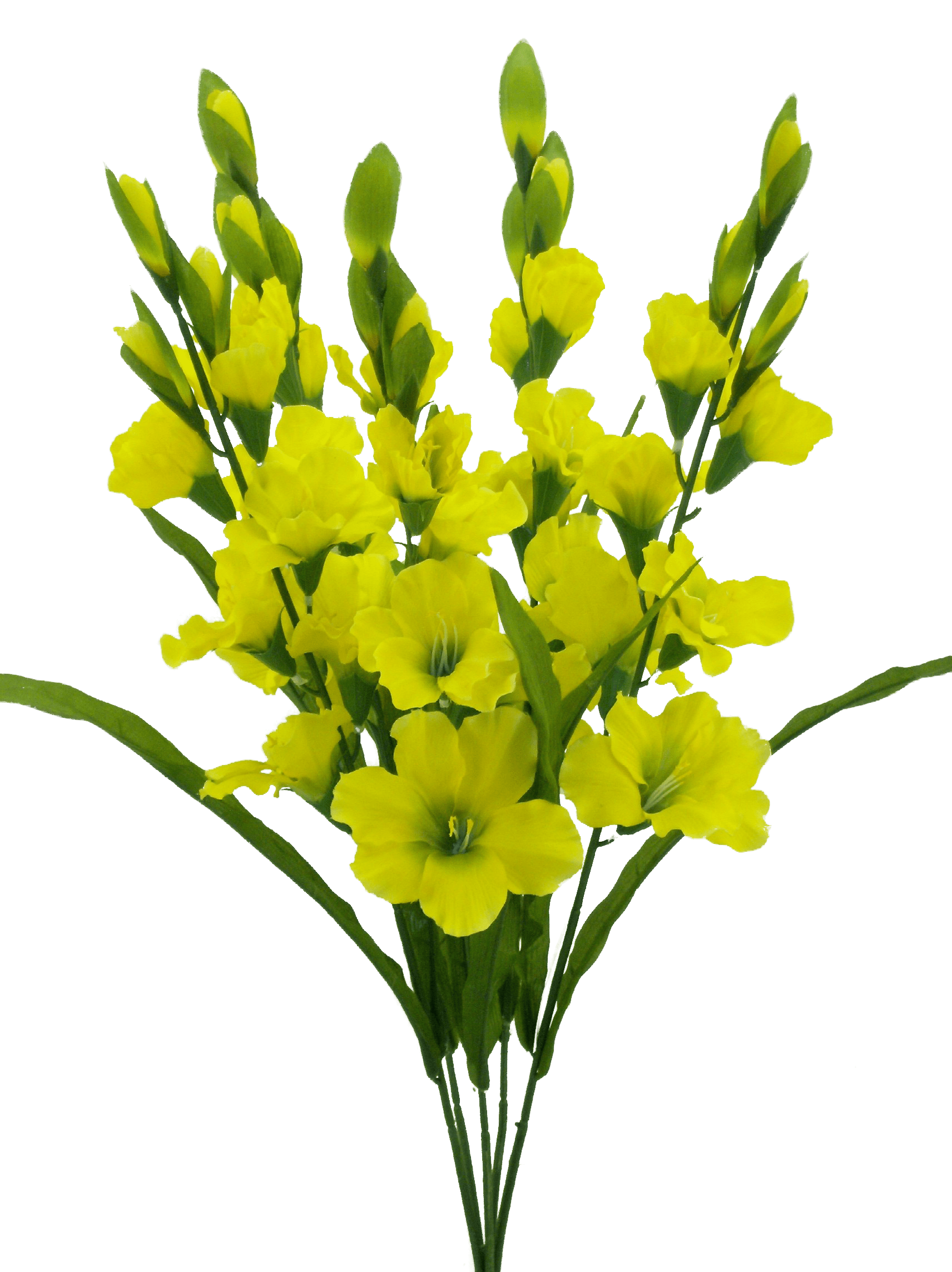 COLOR FAST GLADIOULUS BUSH X5 H28-YELLOW Liberty Floral 30249YW