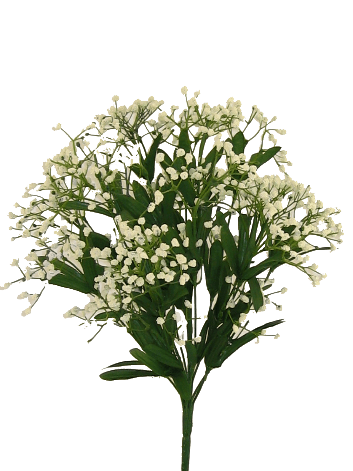 Color Fast Gyp Bush-Cream Liberty Floral 31460CM