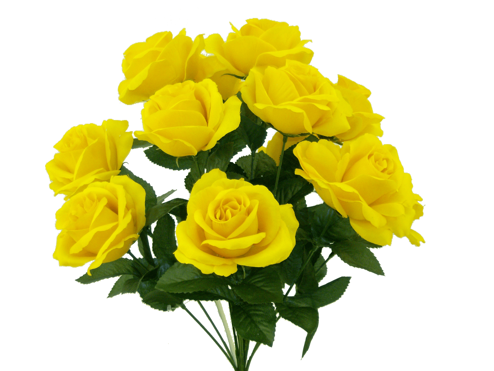 Color Fast Lillian Open Rose Bush-Golden Yellow Liberty Floral Flowers 30388GDYW