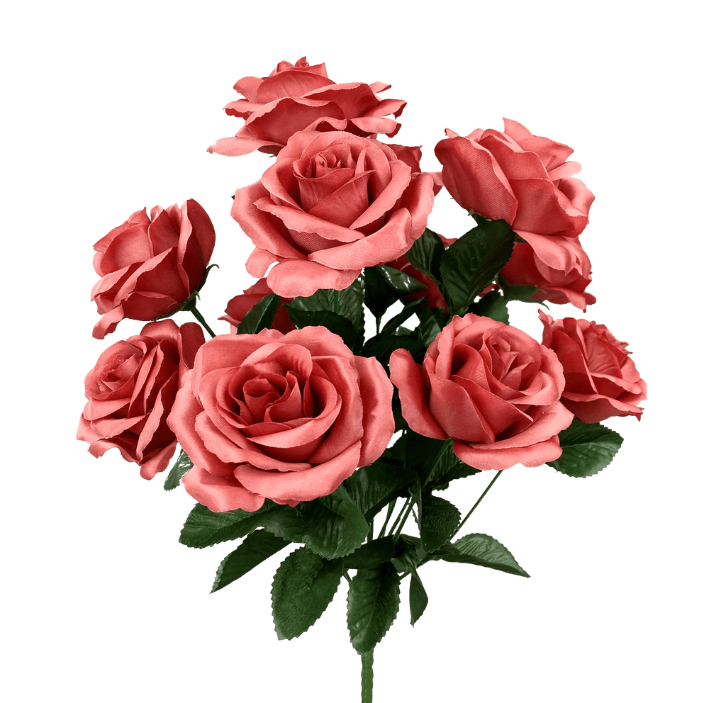 color-fast-lillian-open-rose-
