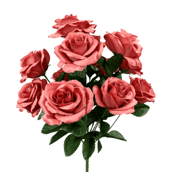 color-fast-lillian-open-rose-