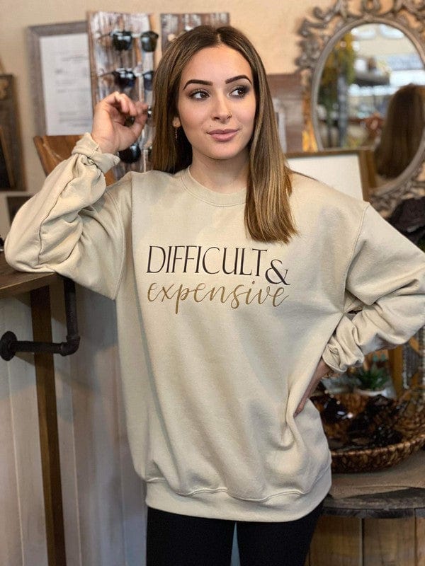 Difficult and Expensive Sweatshirt Ask Apparel sand / 2X 2000001017777