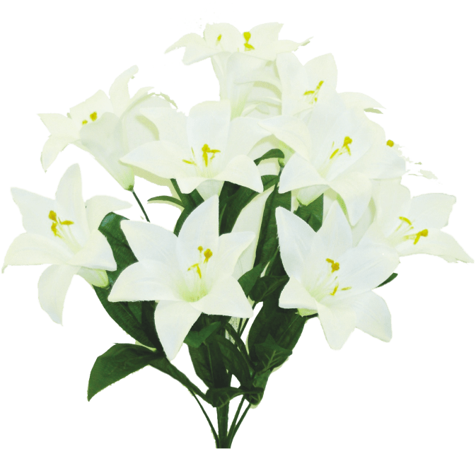 Easter Lily Bush x 11 H21 Liberty Floral 61405WT