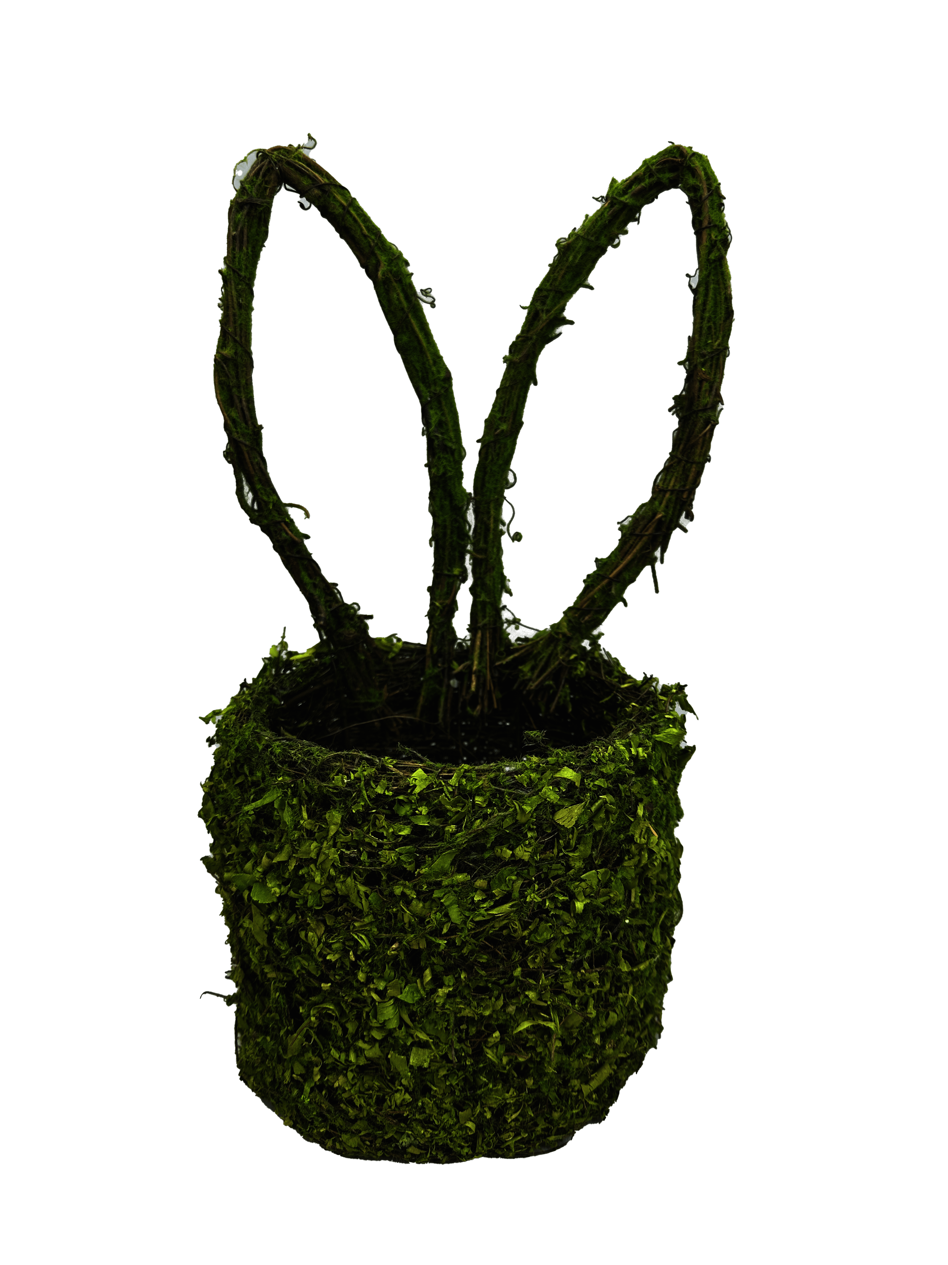 MOSS BUNNY EARS BASKET H14XW5 Liberty Floral 63656GN