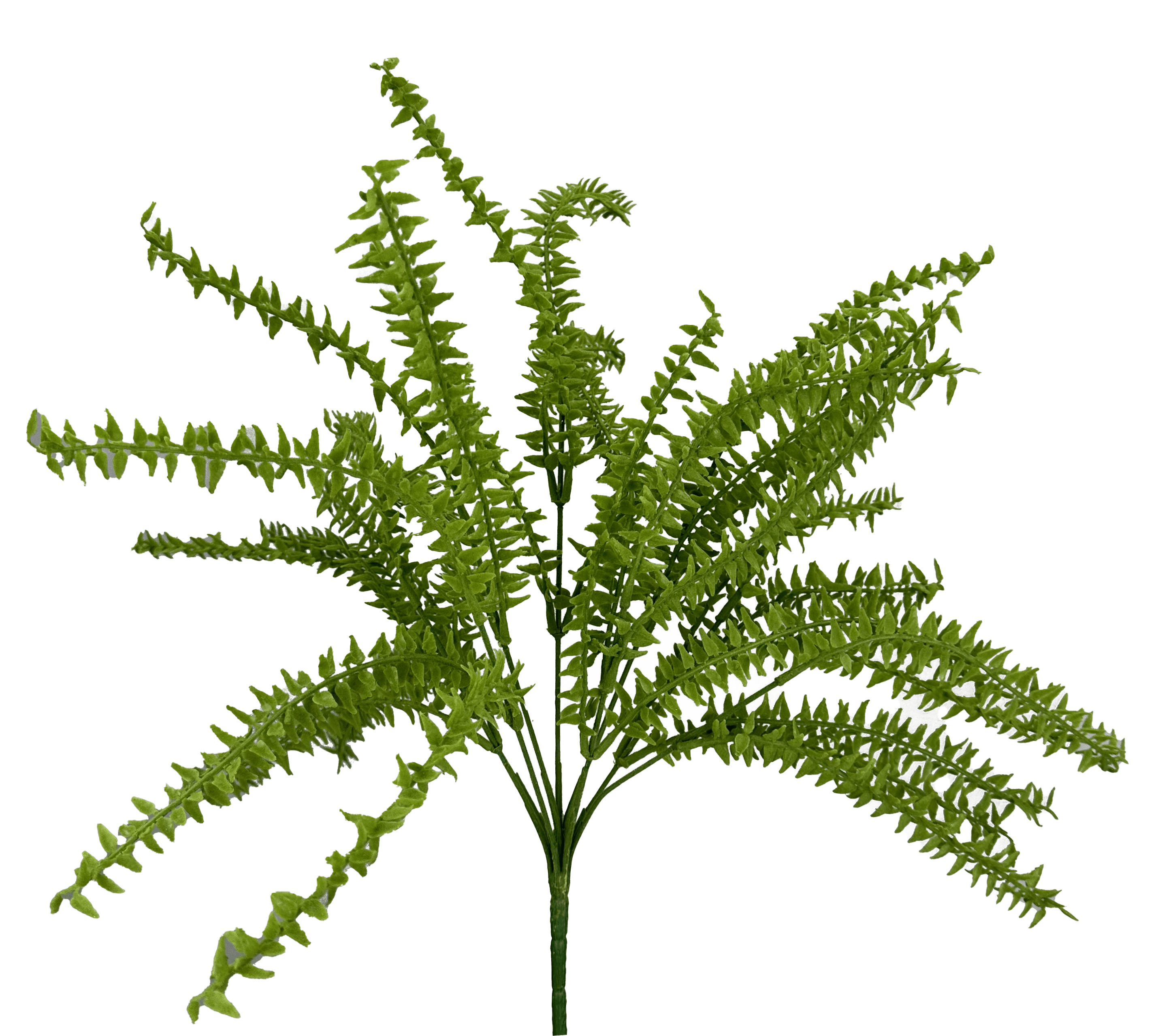 PLASTIC FLOCKED BOSTON FERN BUSH X 9 Liberty Floral 13630GN