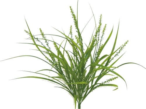 PLASTIC RICE GRASS BUSH-GREEN Shirley's Direct 13149GN