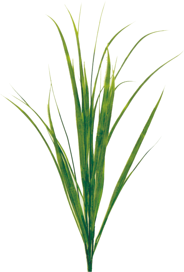 Plastic Sword Grass Bush Liberty Floral Greenery 13124GN