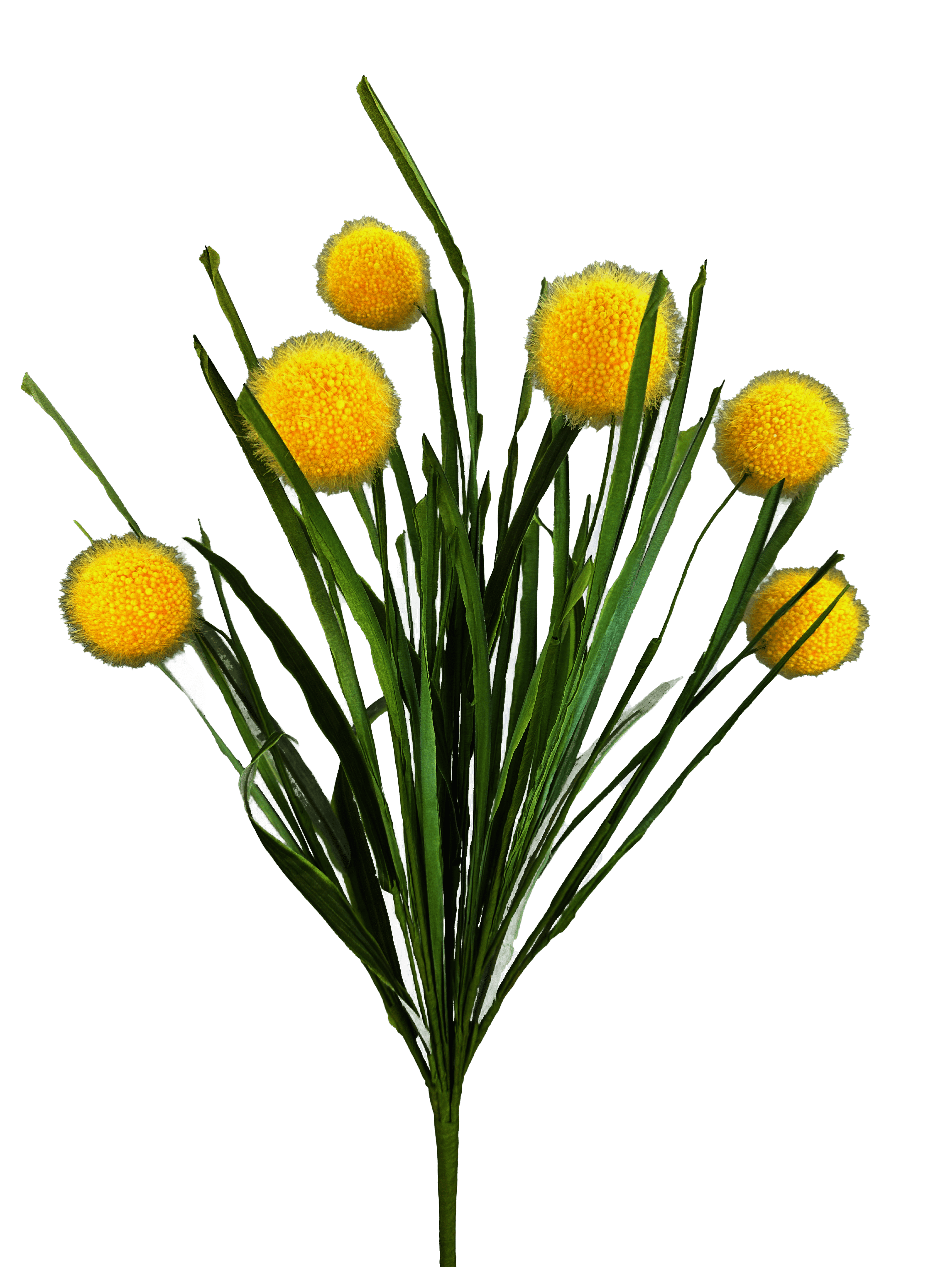 POM POM GRASS SPRAY X 5 H21 YELLOW Liberty Floral 63764YW