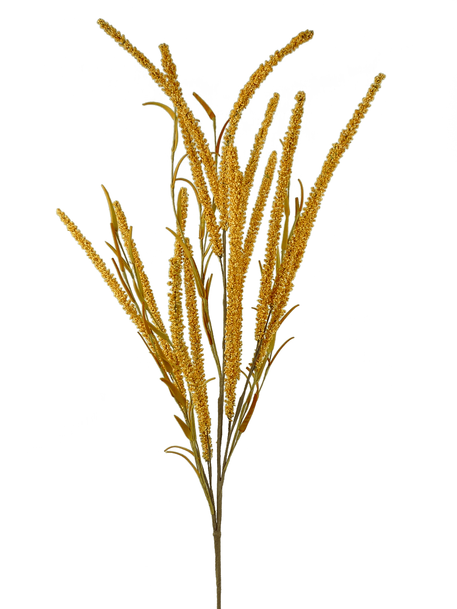 Setaria Spray-YW Liberty Floral 56509yw