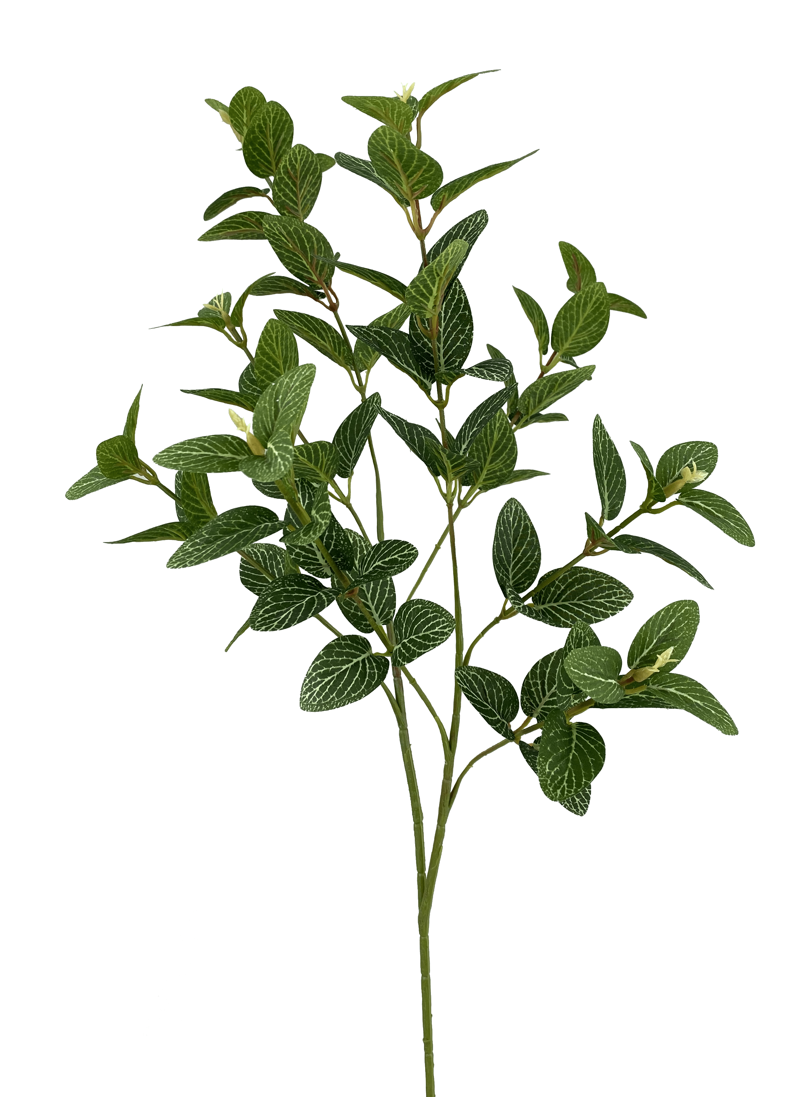 Varigated Laurel Spray with 90 leaves H27 Liberty Floral 13580GN